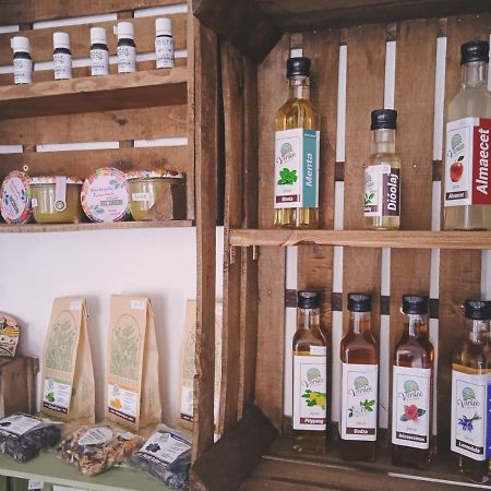 Diokert Vendeghaz Sopron B&B 외부 사진