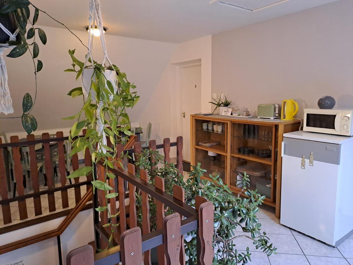 Diokert Vendeghaz Sopron B&B 외부 사진